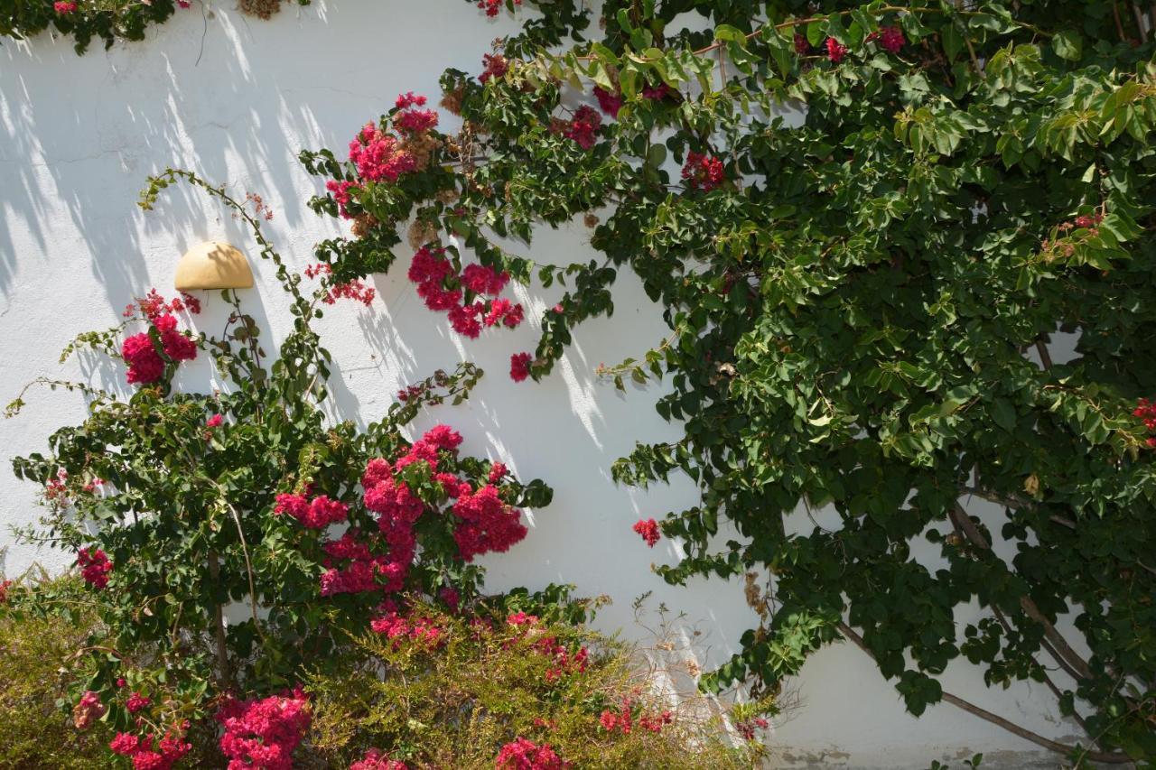 Apartamentos Cintra Do Vale Vila Nova de Milfontes Dış mekan fotoğraf